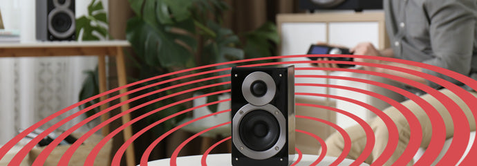 Amps & Speakers