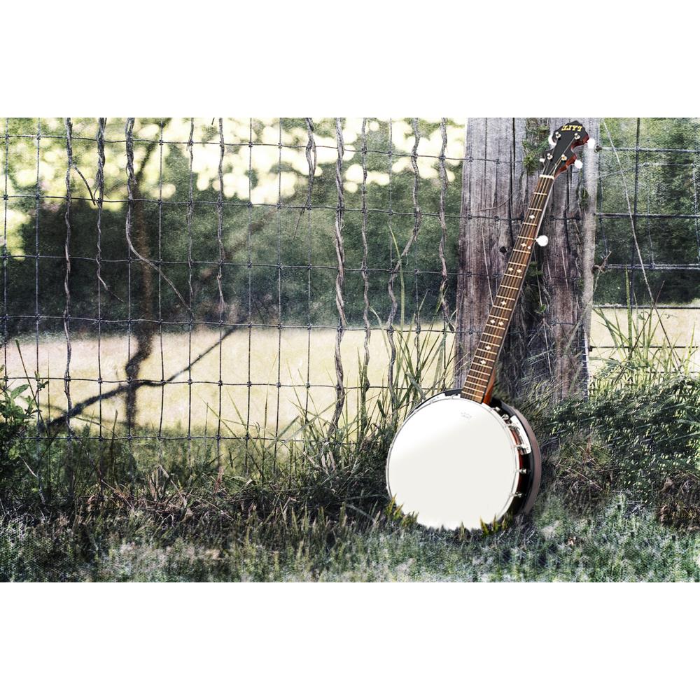 product image number 6 for Pyle 5-String Banjo With White Jade Tune Pegs
