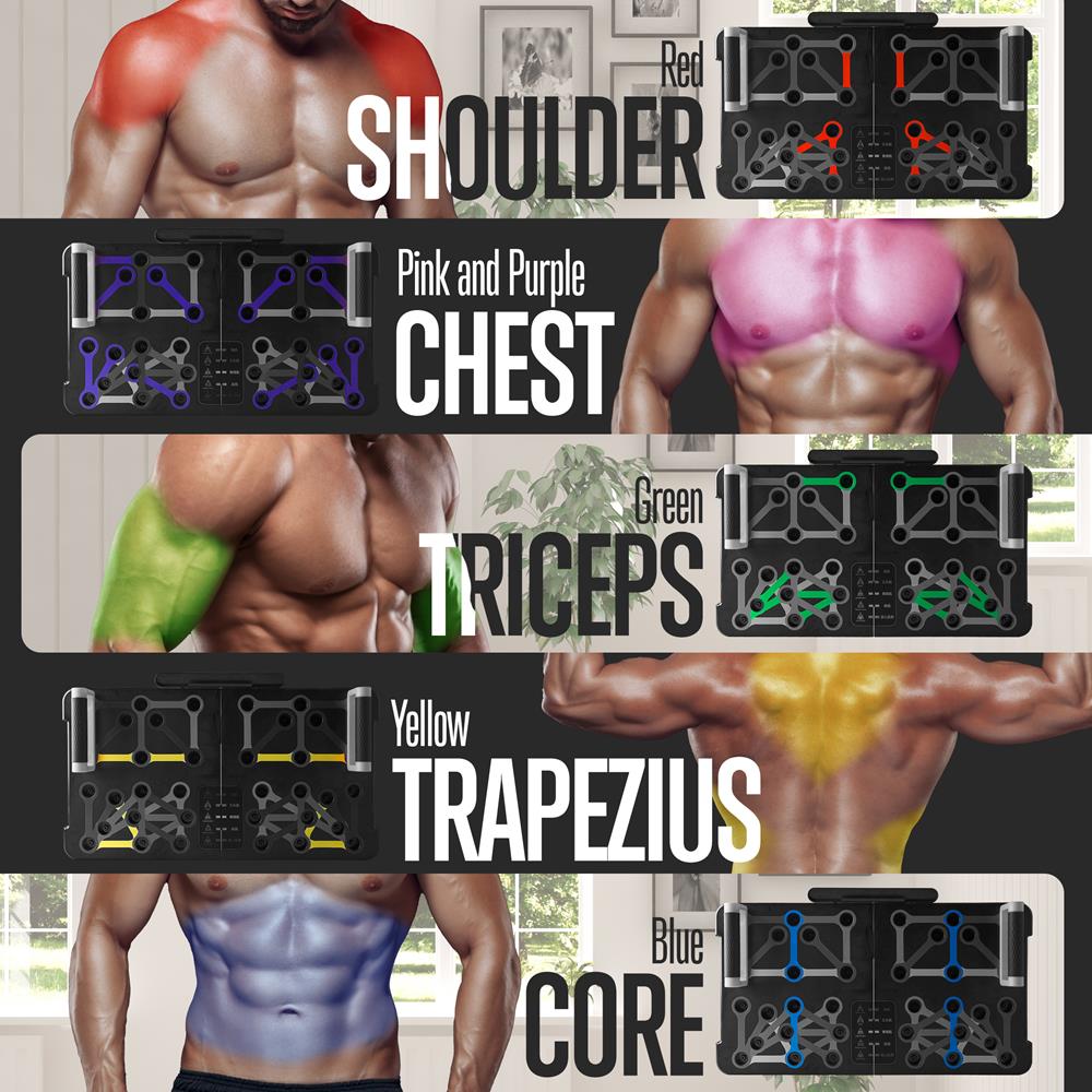 product image number 5 for SQUATZ Push Up Board Home Workout Equipment Set