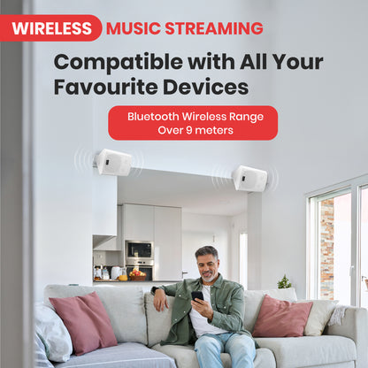 Haut-parleurs muraux intérieurs/extérieurs de 5,25" 