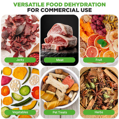 Electric Food Dehydrator 10-Tray Stainless Steel Digital Timer 900W