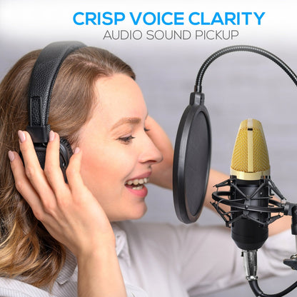 Cardioid Condenser Mic Kit - Crisp Audio, Large Diaphragm, Easy Setup