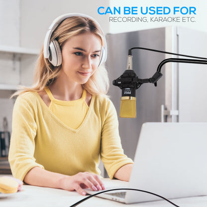 Cardioid Condenser Mic Kit - Crisp Audio, Large Diaphragm, Easy Setup