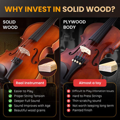 Plywood Violin