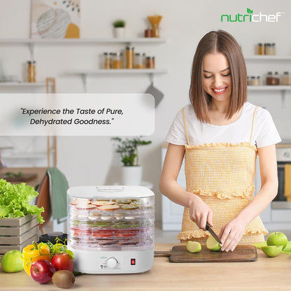 Food Dehydrator for Efficient Preservation, 5 Trays, High-Heat Circulation