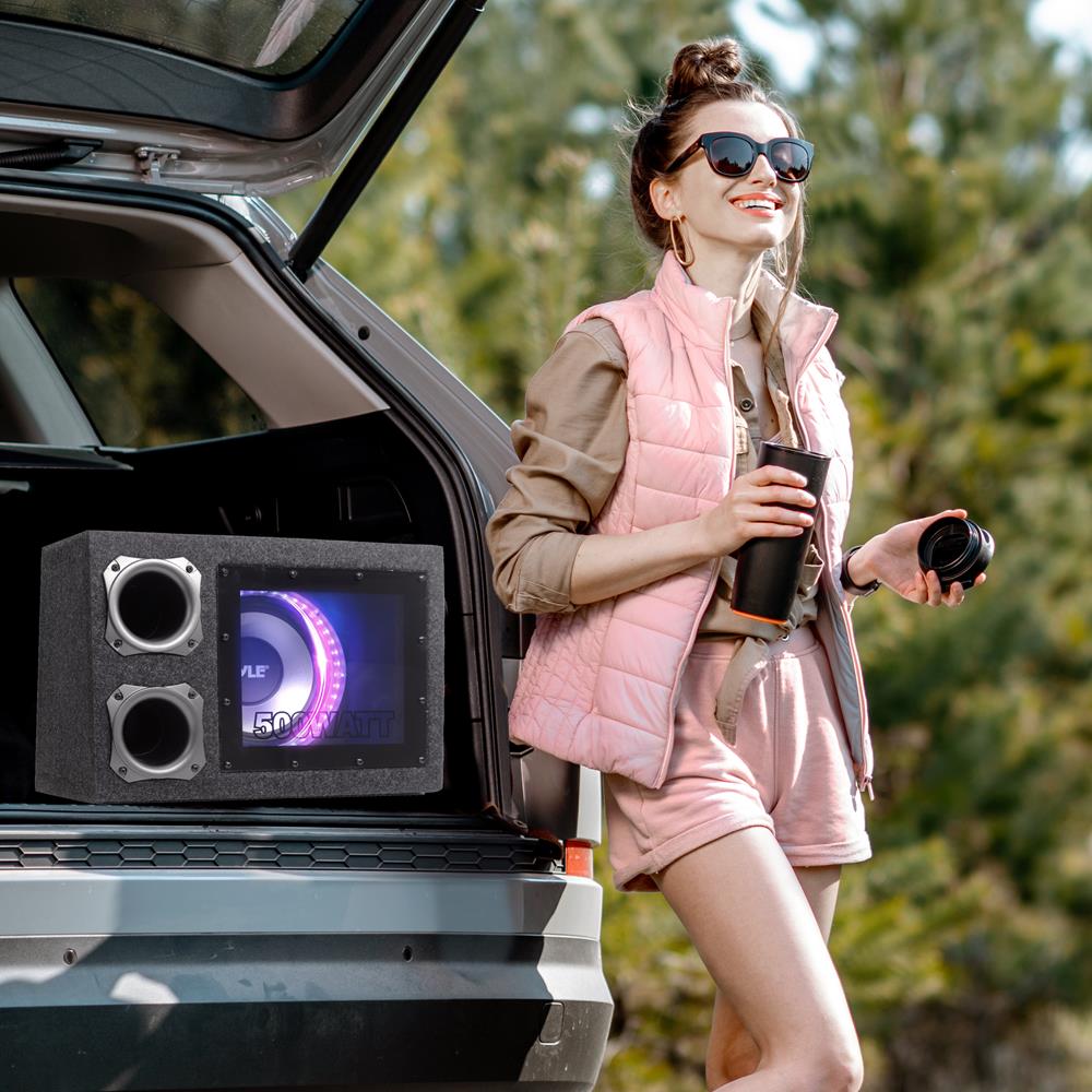 product image number 7 for Pyle Subwoofer Box System