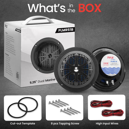 Haut-parleurs marins de 5,25'' 