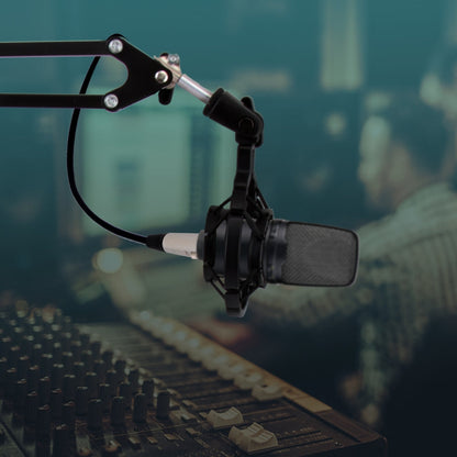 Adjustable Mic Boom Stand - Quick Setup, Steel Alloy, Desktop Use