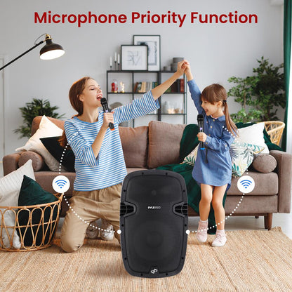 Pro Audio Active Pa Speaker System