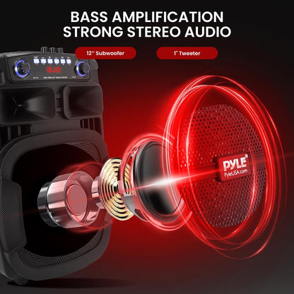 Enceinte portable PA 12” 