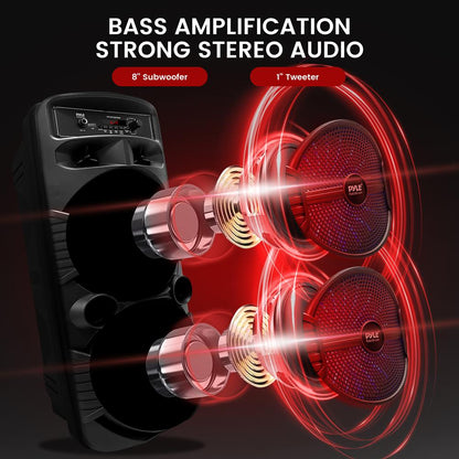 Enceinte portable PA double 8” 