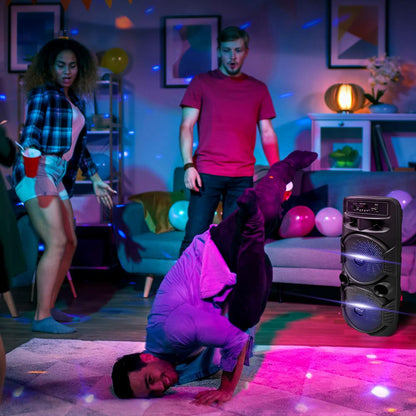 Enceinte portable PA double 8” 