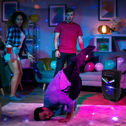 Enceinte portable PA 8” 