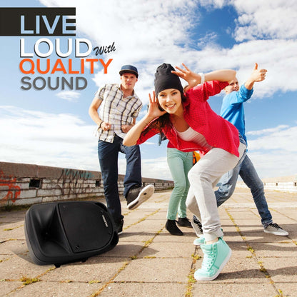 Portable Pa Speaker & Microphone System