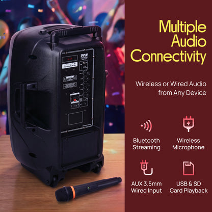 Système de haut-parleur PA portable et microphone 