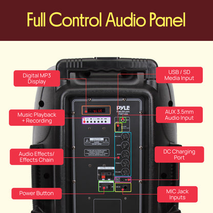 Système de haut-parleur PA portable et microphone 