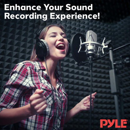 Acoustic Foam Panels 2-Pack, Noise Reduction, 2" Thick, with Stand