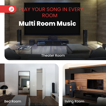 8-Ch. Stereo/Mono Amplifier