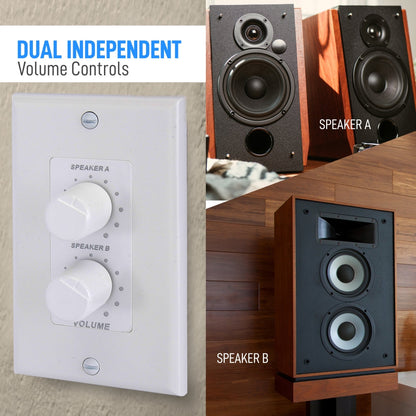 In-Wall Speaker Volume Control Plate, Dual Knobs, 120W, Universal Style