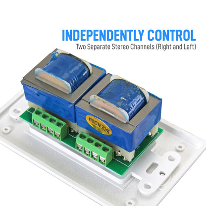 In-Wall Speaker Volume Control Plate, Dual Knobs, 120W, Universal Style