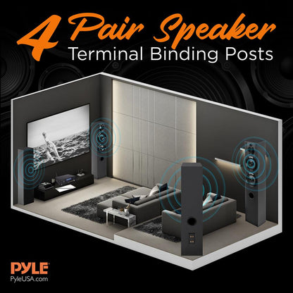 Amplificateur karaoké à 4 canaux, Bluetooth, lecteur CD/DVD, deux microphones sans fil 