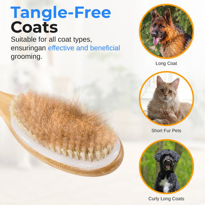Double-Sided Pet Brush, Skin-Friendly, Wooden Handle, Massage Particles